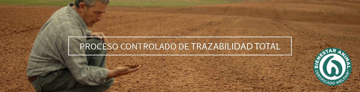 Proceso controlado de trazabilidad total