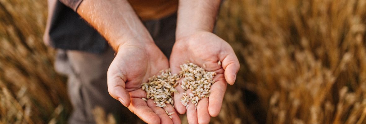 Proceso controlado de trazabilidad que define la excelencia de Aire Sano