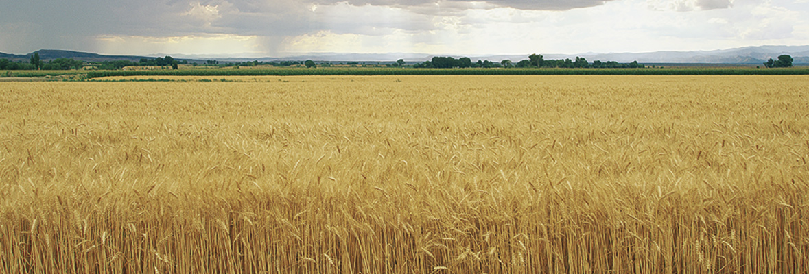 Aire Sano: Teruel, por naturaleza