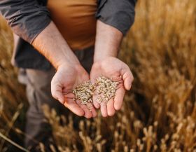 Proceso controlado de trazabilidad que define la excelencia de Aire Sano