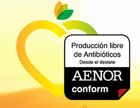 Producción de cerdo ibérico Libre de Antibióticos desde el destete